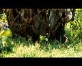 PDVD_732