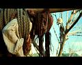 PDVD_743