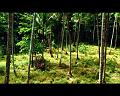 PDVD_755