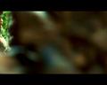 PDVD_756