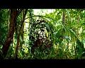 PDVD_758