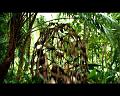 PDVD_759