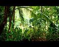 PDVD_760