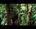 PDVD_761