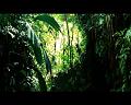 PDVD_768