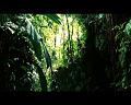 PDVD_769