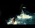 PDVD_778