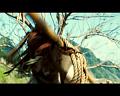 PDVD_779