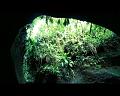 PDVD_790