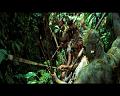 PDVD_791