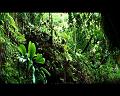PDVD_795
