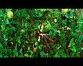 PDVD_827
