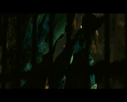 PDVD_099.jpg