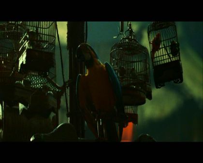 PDVD_116.jpg
