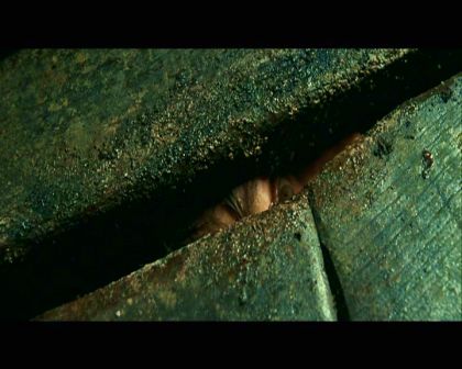PDVD_295.jpg