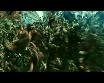 PDVD_3609.jpg