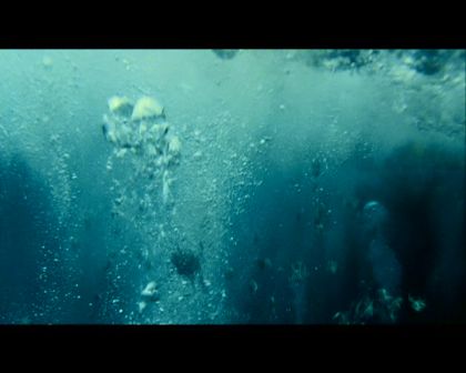 PDVD_3619.jpg
