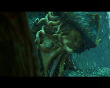 PDVD_4285.jpg