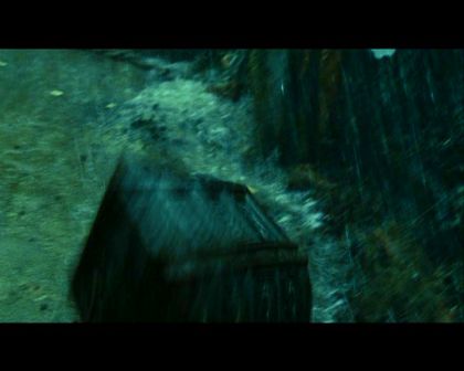 PDVD_4342.jpg