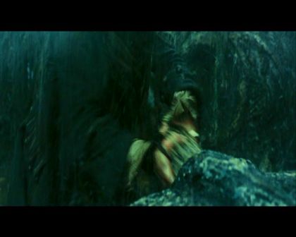 PDVD_4416.jpg