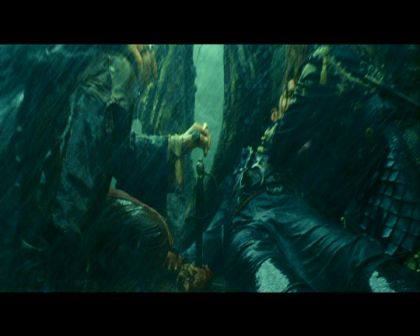 PDVD_4574.jpg