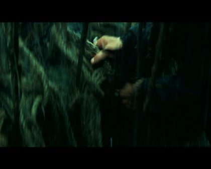 PDVD_4639.jpg
