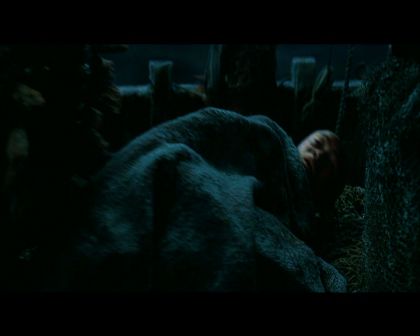 PDVD_798.jpg