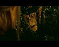 PDVD_2293