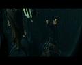 PDVD_2356