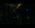 PDVD_2425