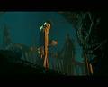 PDVD_2495