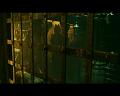 PDVD_2885