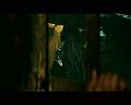 PDVD_2895