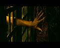 PDVD_2920