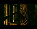 PDVD_2921
