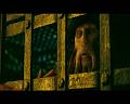 PDVD_2942