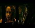 PDVD_2953