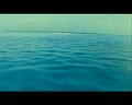 PDVD_3277
