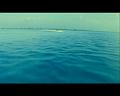 PDVD_3278