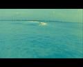 PDVD_3279