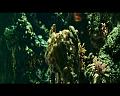 PDVD_3408
