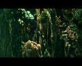 PDVD_3409