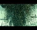 PDVD_3603
