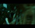 PDVD_4053
