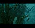 PDVD_4064