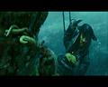 PDVD_4256