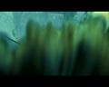 PDVD_4446