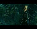 PDVD_4478