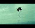 PDVD_4679