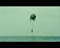 PDVD_4684